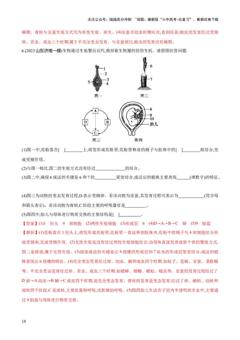 专题20生物的生殖和发育（练习）（解析版）_02中考总复习（2026版更新中）_08-生物-中考总复习_2024年中考复习资料_一轮复习_❤2024年中考生物一轮复习讲练测（全国通用）_练习
