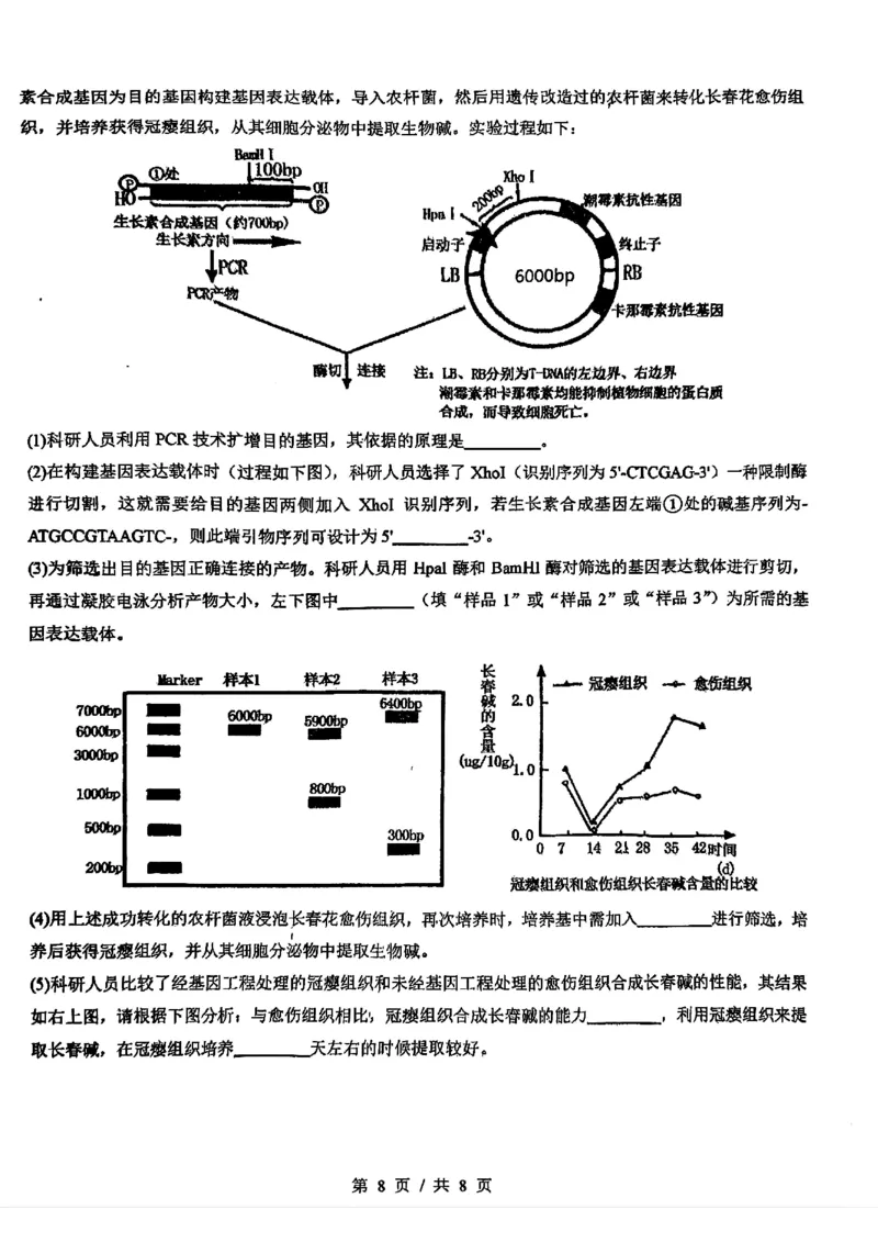四川省成都市第七中学2024-2025学年高三上学期入学考试生物试题_A1502026各地模拟卷（超值！）_9月_240905四川省成都市第七中学2024-2025学年高三上学期入学考试