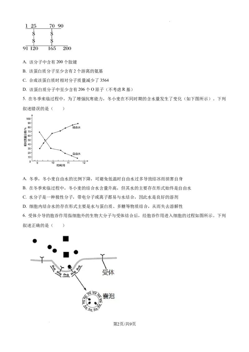 2025届银川一中高三第二次月考生物试卷_A1502026各地模拟卷（超值！）_10月_241003宁夏回族自治区银川一中2024-2025学年高三上学期第二次月考