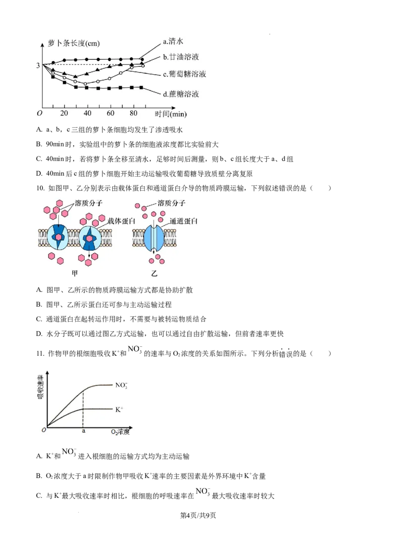 2025届银川一中高三第二次月考生物试卷_A1502026各地模拟卷（超值！）_10月_241003宁夏回族自治区银川一中2024-2025学年高三上学期第二次月考