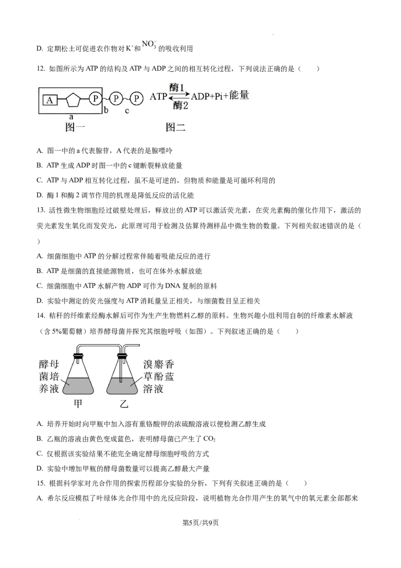 2025届银川一中高三第二次月考生物试卷_A1502026各地模拟卷（超值！）_10月_241003宁夏回族自治区银川一中2024-2025学年高三上学期第二次月考