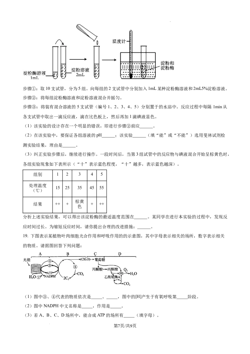 2025届银川一中高三第二次月考生物试卷_A1502026各地模拟卷（超值！）_10月_241003宁夏回族自治区银川一中2024-2025学年高三上学期第二次月考