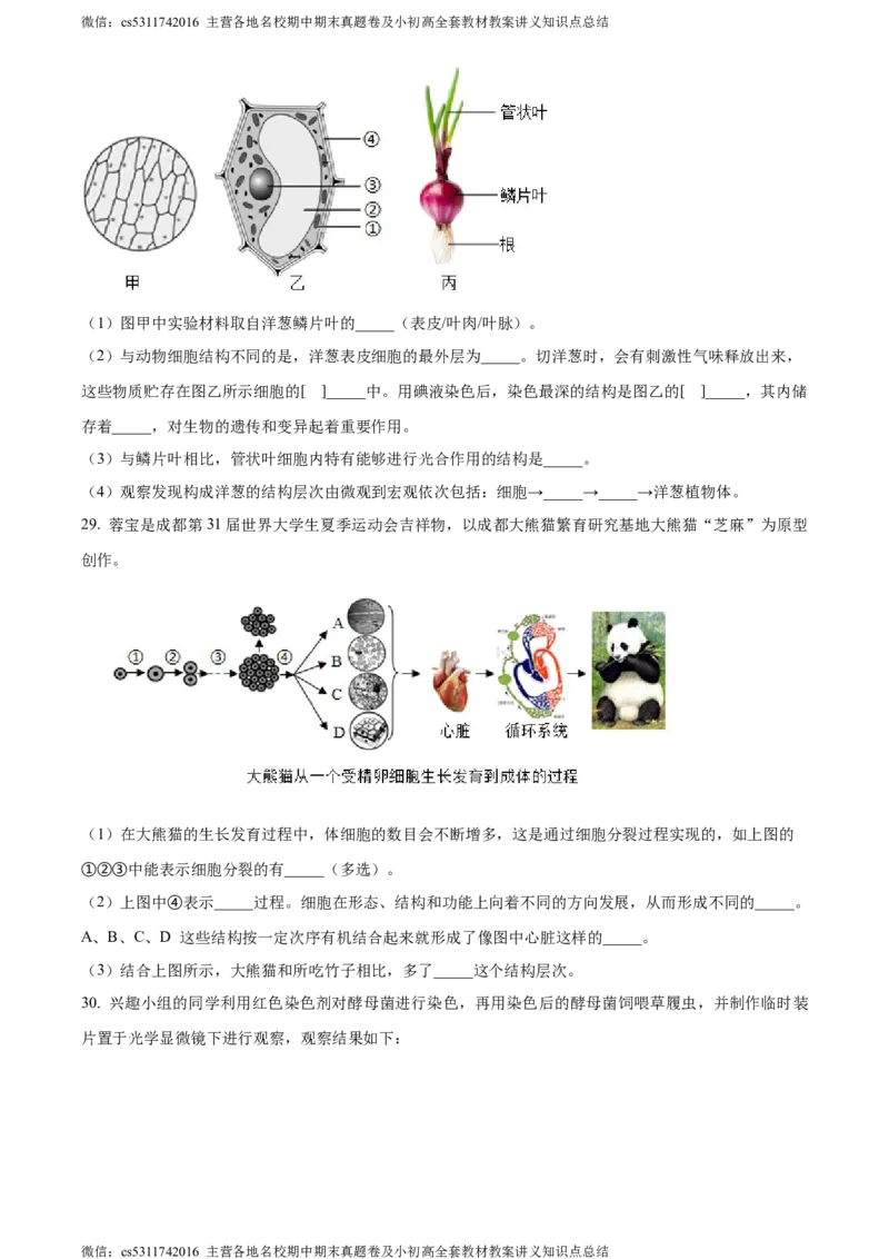 精品解析：北京市昌平区双城融合学区2023-2024学年七年级上学期期中质量抽测生物学试卷（原卷版）(1)_北京初中期末题_C605-京七八九_B京生物七八九_北京7上生物_2022-2024_北京生物7上期中