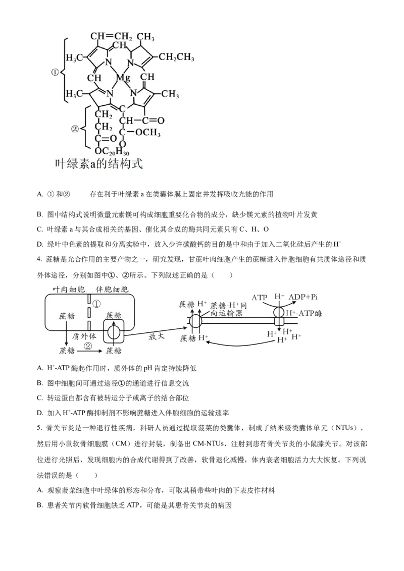 山东省泰安第一中学2025届高三上学期11月月考生物试题_A1502026各地模拟卷（超值！）_12月_241201山东省泰安第一中学2025届高三上学期11月月考
