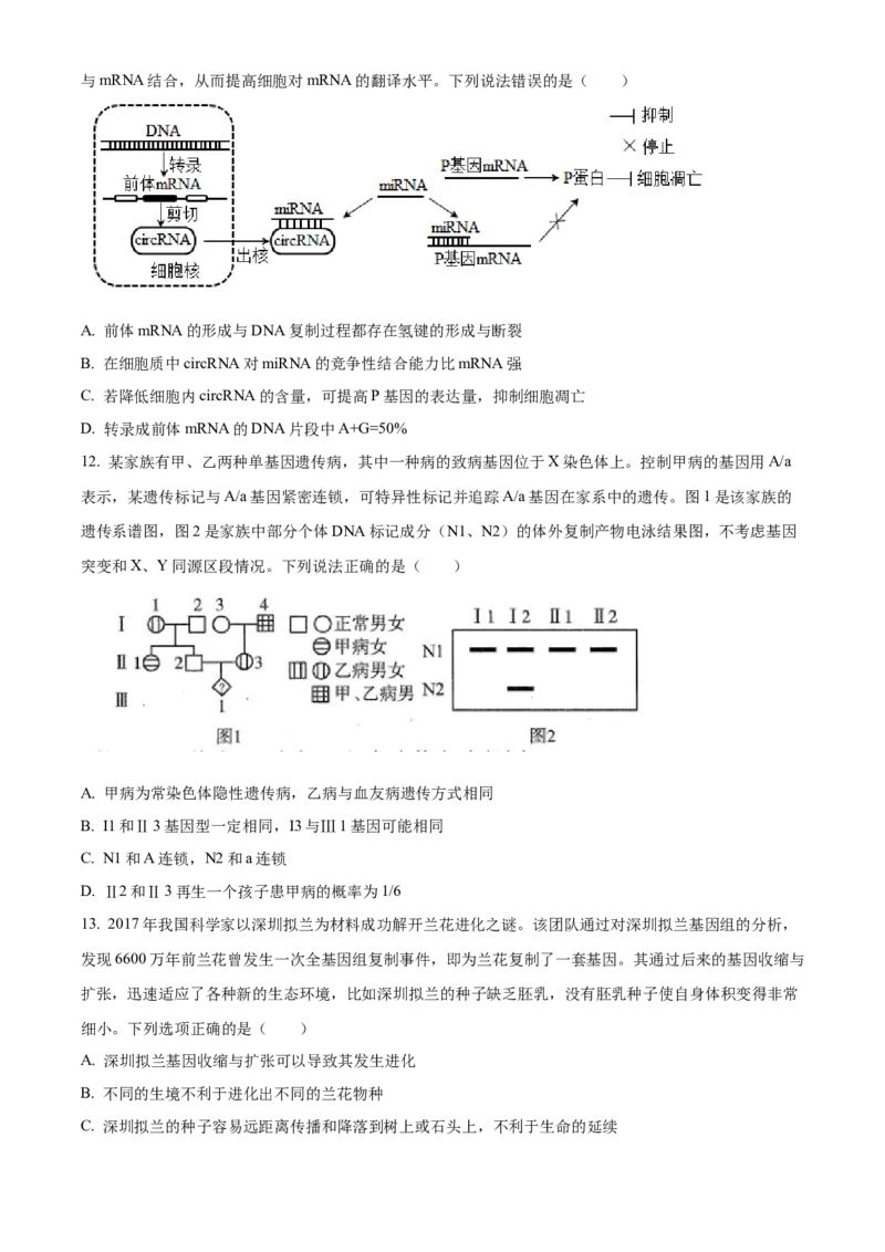 山东省泰安第一中学2025届高三上学期11月月考生物试题_A1502026各地模拟卷（超值！）_12月_241201山东省泰安第一中学2025届高三上学期11月月考