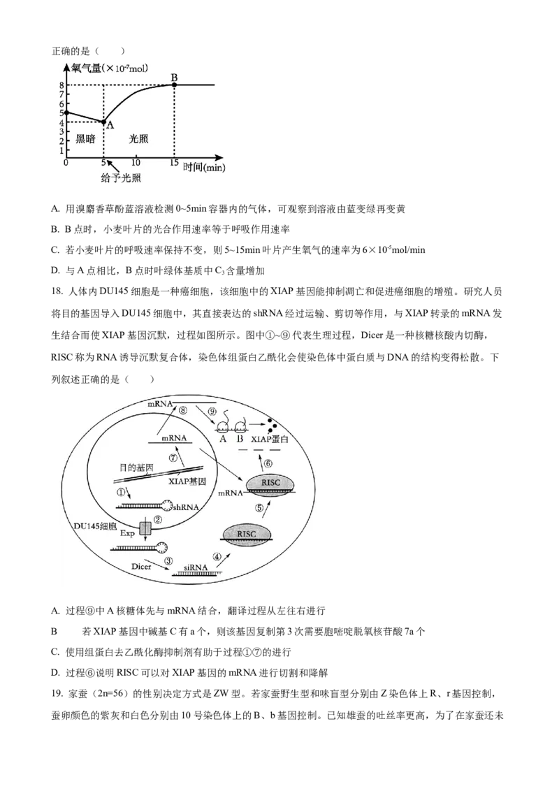山东省泰安第一中学2025届高三上学期11月月考生物试题_A1502026各地模拟卷（超值！）_12月_241201山东省泰安第一中学2025届高三上学期11月月考