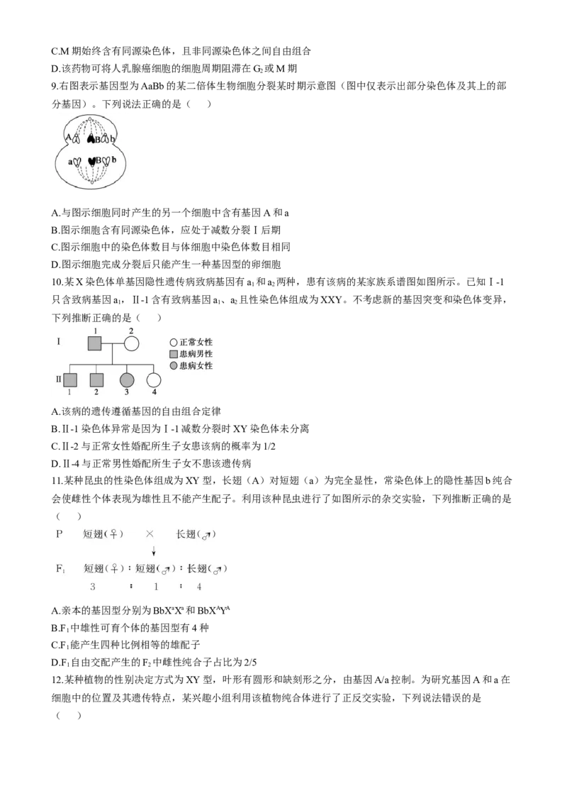 山东省德州市2024-2025学年高三上学期期中考试生物试题_A1502026各地模拟卷（超值！）_11月_241115山东省德州市2024-2025学年高三上学期期中考试（全科）