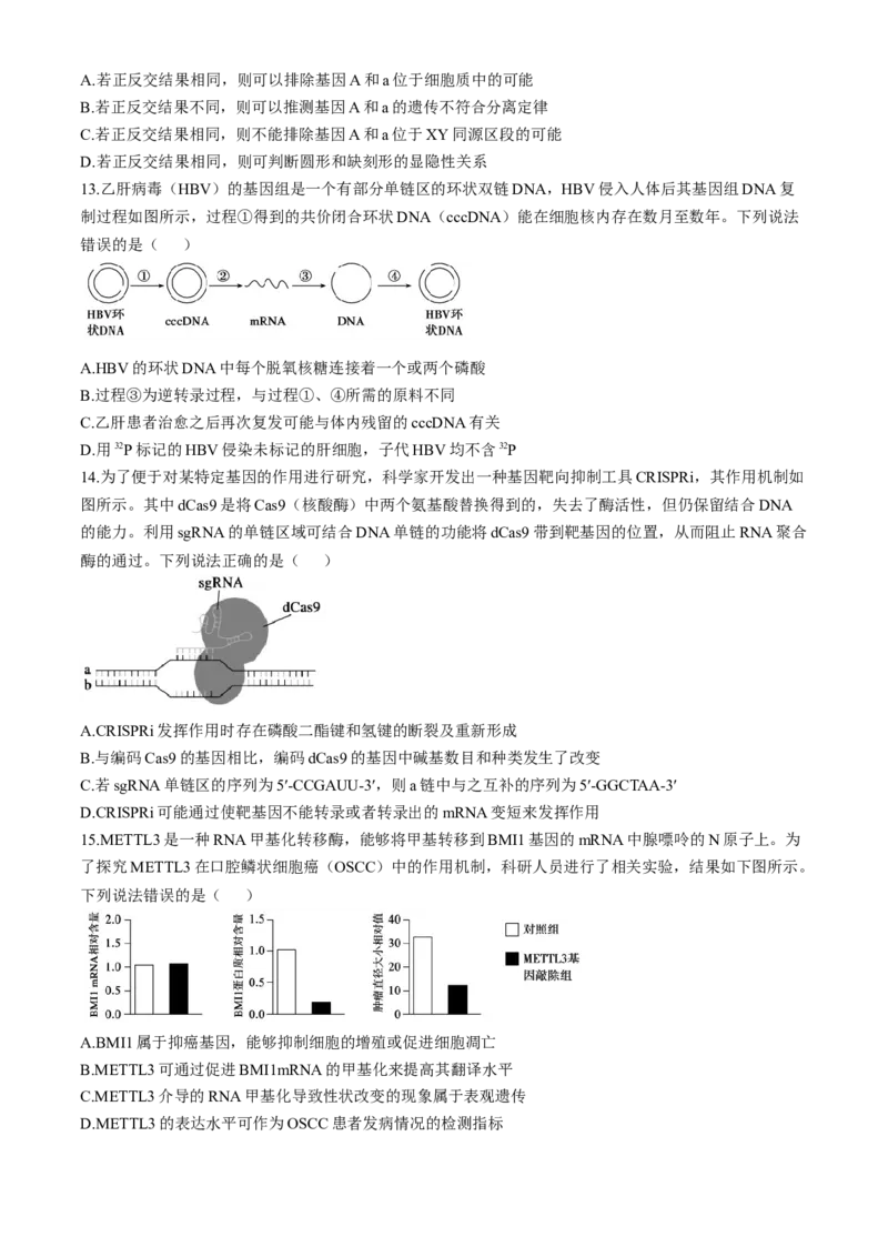 山东省德州市2024-2025学年高三上学期期中考试生物试题_A1502026各地模拟卷（超值！）_11月_241115山东省德州市2024-2025学年高三上学期期中考试（全科）