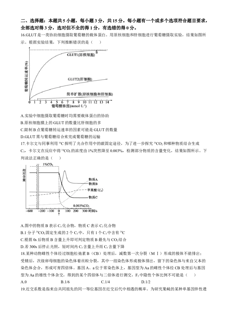 山东省德州市2024-2025学年高三上学期期中考试生物试题_A1502026各地模拟卷（超值！）_11月_241115山东省德州市2024-2025学年高三上学期期中考试（全科）