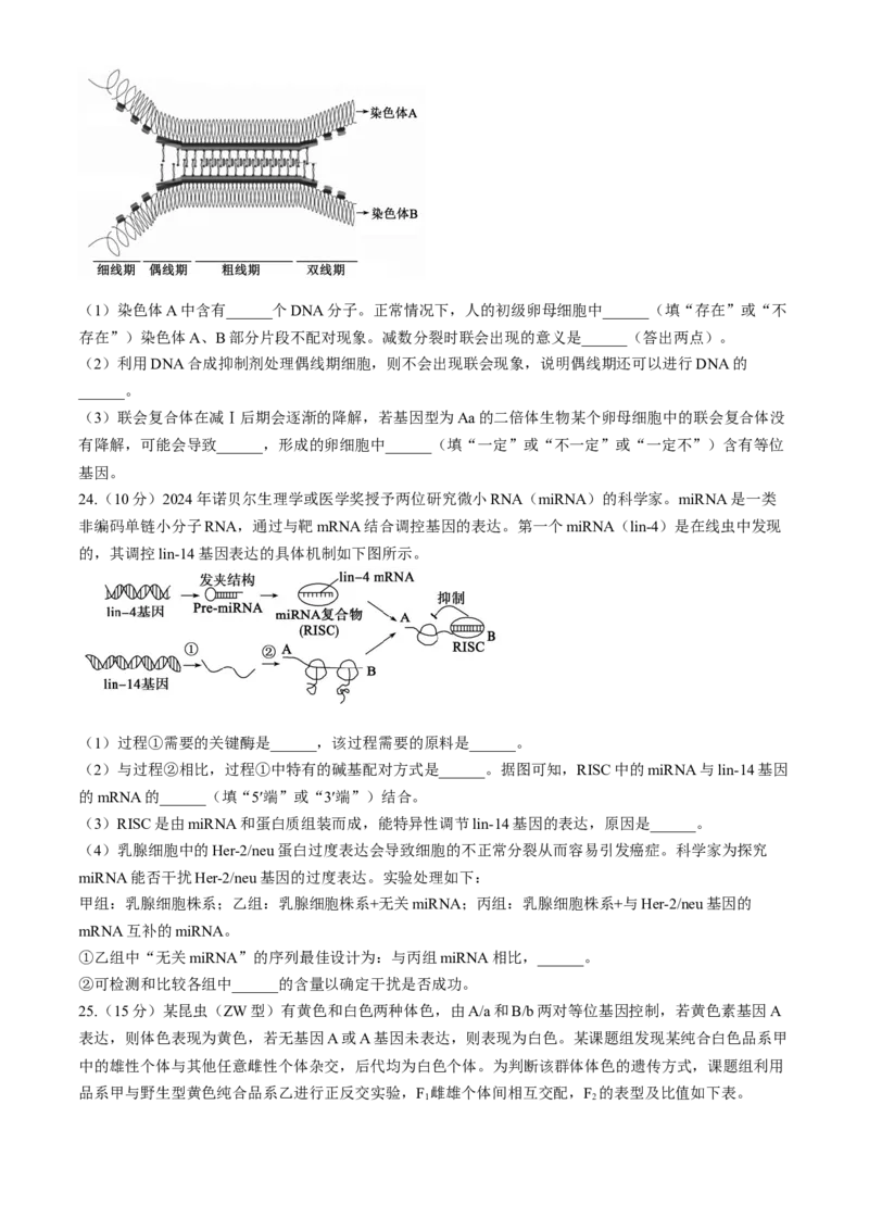 山东省德州市2024-2025学年高三上学期期中考试生物试题_A1502026各地模拟卷（超值！）_11月_241115山东省德州市2024-2025学年高三上学期期中考试（全科）