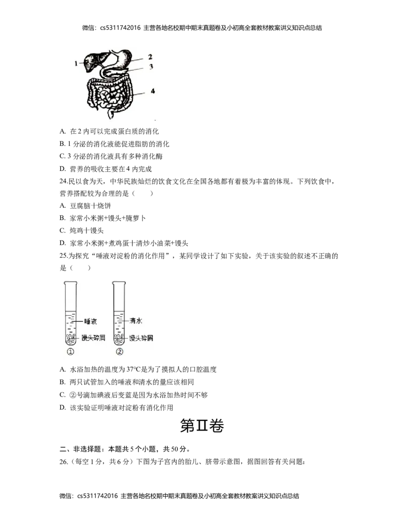 第一次阶段性检测A卷（考试版）测试范围：第一章、第二章(1)_北京初中期末题_C605-京七八九_B京生物七八九_北京7下生物_2022-2024_北京生物7下月考