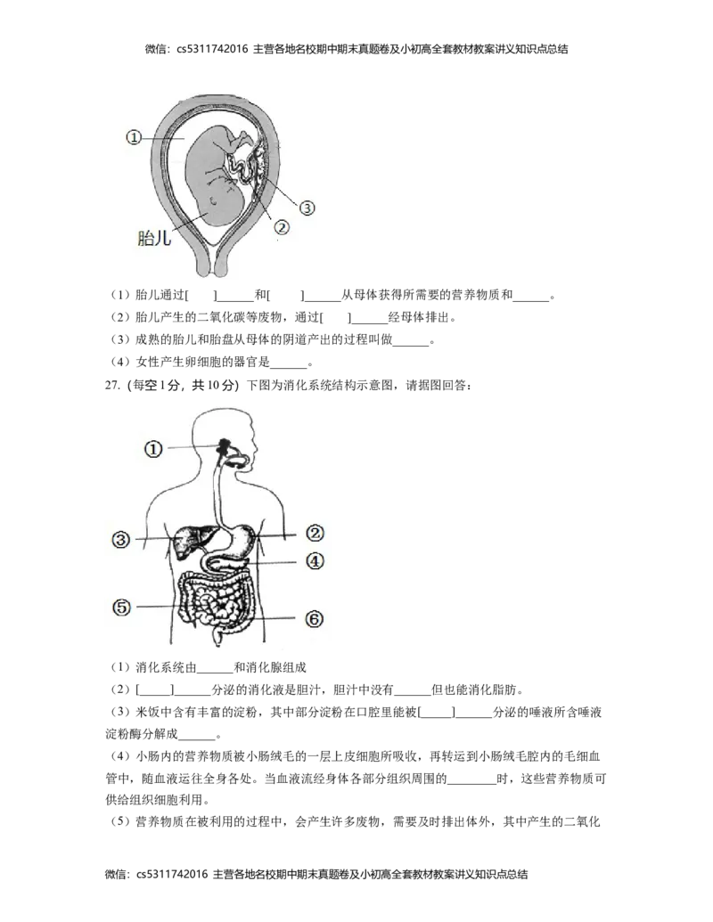 第一次阶段性检测A卷（考试版）测试范围：第一章、第二章(1)_北京初中期末题_C605-京七八九_B京生物七八九_北京7下生物_2022-2024_北京生物7下月考