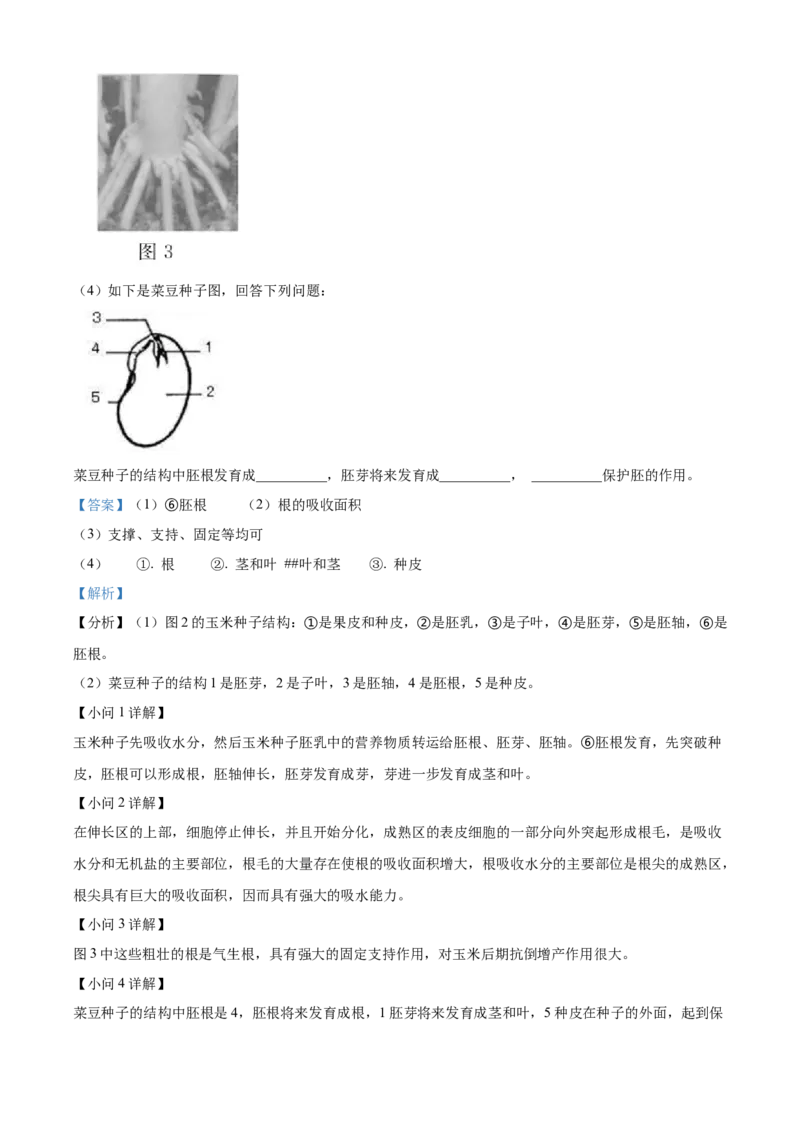 精品解析：2022年北京市东城区八年级下学期统一测试生物试题（解析版）(1)_北京初中期末题_C605-京七八九_B京生物七八九_北京八下生物