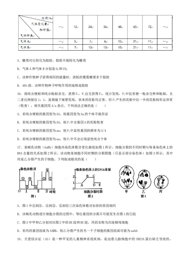 2025届河北金太阳高三10月联考生物学试题（含答案）_A1502026各地模拟卷（超值！）_10月_2410252025届河北金太阳高三10月联考（25-83C）