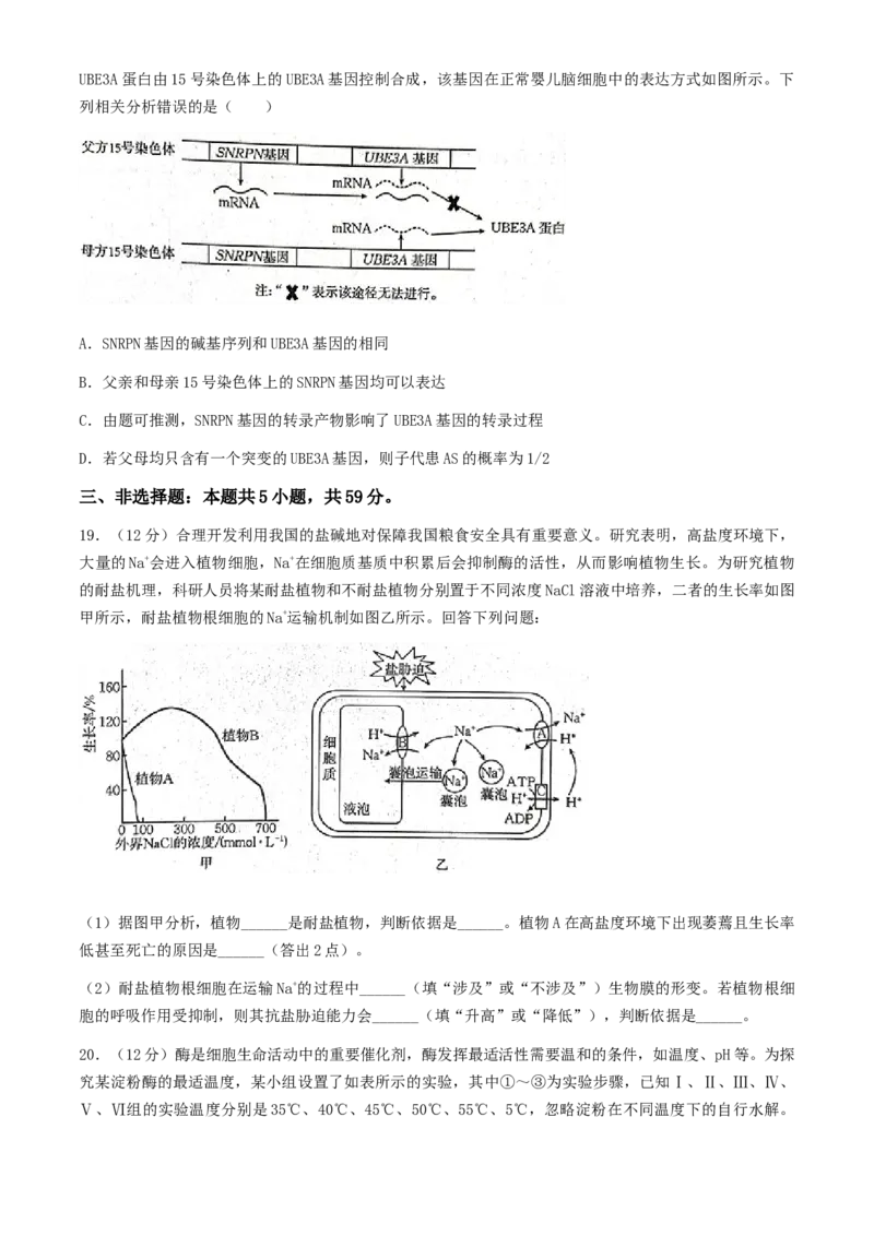 2025届河北金太阳高三10月联考生物学试题（含答案）_A1502026各地模拟卷（超值！）_10月_2410252025届河北金太阳高三10月联考（25-83C）
