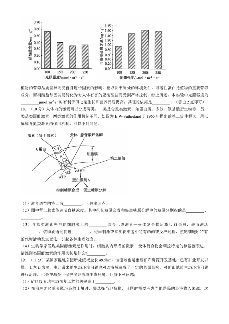 2025届高三10月大联考（新高考卷）生物试题(无答案)_A1502026各地模拟卷（超值！）_10月_241017XKW2025届高三10月大联考（新高考卷）