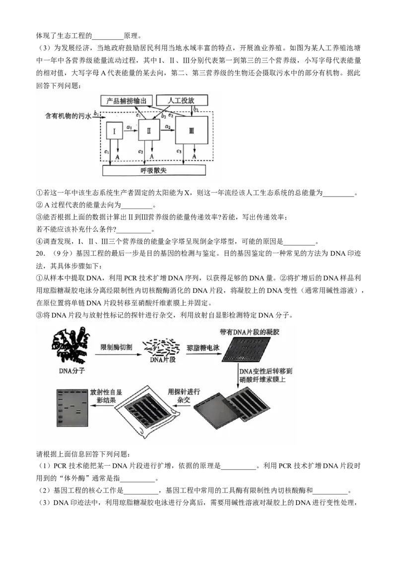 2025届高三10月大联考（新高考卷）生物试题(无答案)_A1502026各地模拟卷（超值！）_10月_241017XKW2025届高三10月大联考（新高考卷）
