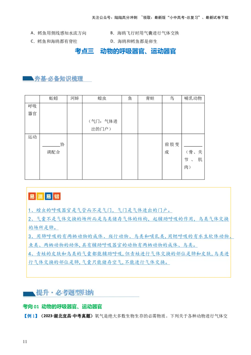 专题16动物的主要类群（讲义）（原卷版）_02中考总复习（2026版更新中）_08-生物-中考总复习_2024年中考复习资料_一轮复习_❤2024年中考生物一轮复习讲练测（全国通用）_讲义