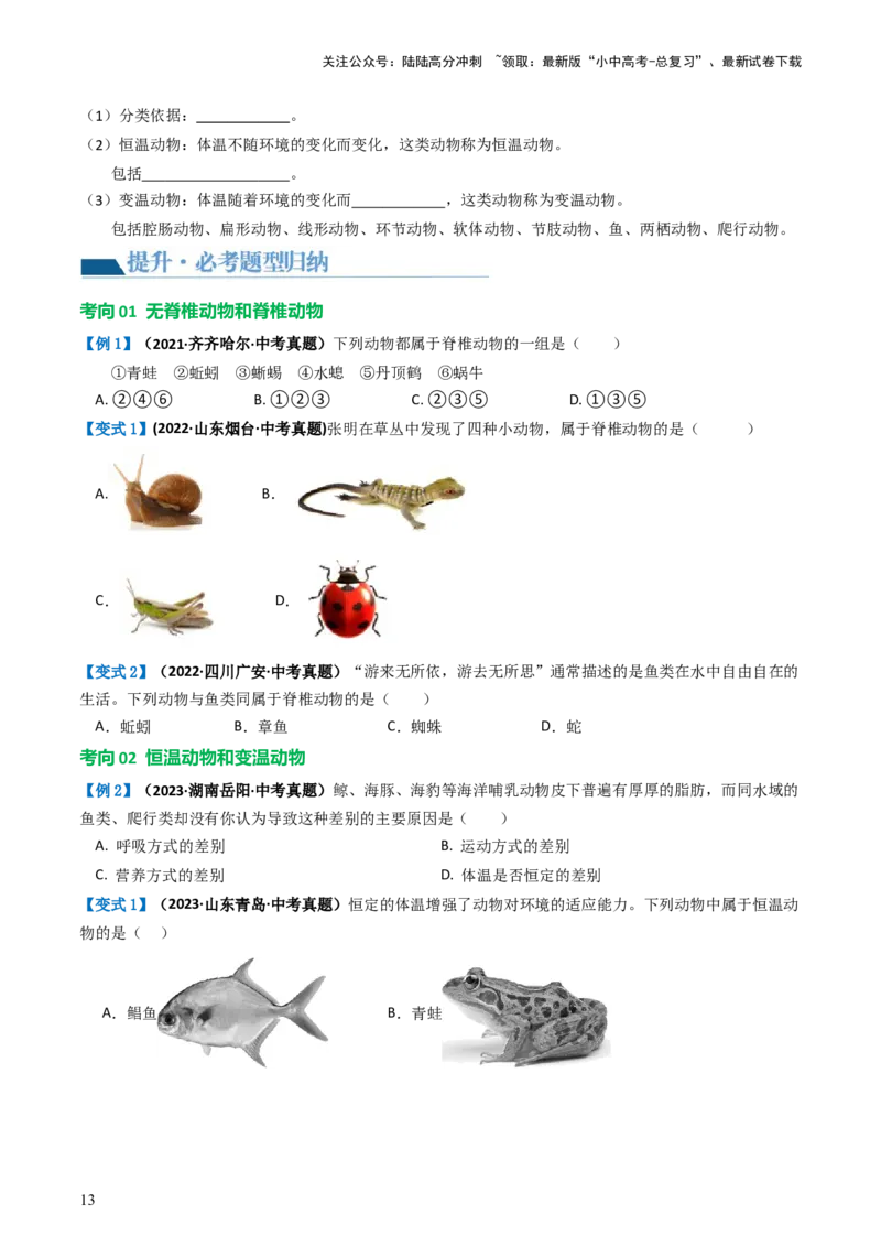 专题16动物的主要类群（讲义）（原卷版）_02中考总复习（2026版更新中）_08-生物-中考总复习_2024年中考复习资料_一轮复习_❤2024年中考生物一轮复习讲练测（全国通用）_讲义