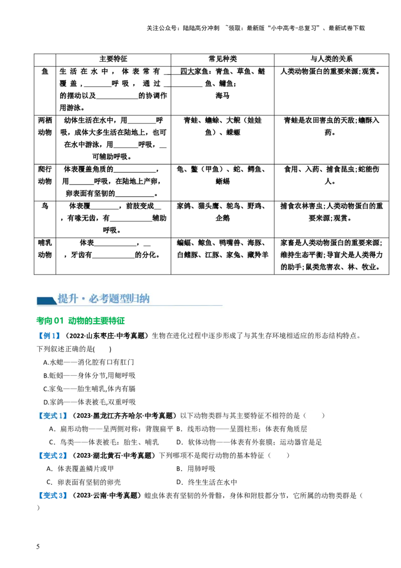 专题16动物的主要类群（讲义）（原卷版）_02中考总复习（2026版更新中）_08-生物-中考总复习_2024年中考复习资料_一轮复习_❤2024年中考生物一轮复习讲练测（全国通用）_讲义