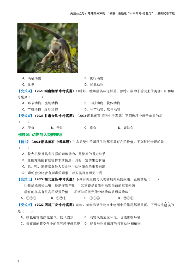 专题16动物的主要类群（讲义）（原卷版）_02中考总复习（2026版更新中）_08-生物-中考总复习_2024年中考复习资料_一轮复习_❤2024年中考生物一轮复习讲练测（全国通用）_讲义