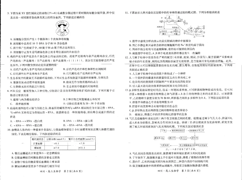 四川省高2025届新高三秋季入学摸底考试生物试卷_A1502026各地模拟卷（超值！）_9月_240911四川省2025届新高三秋季入学摸底考试_四川省2025届新高三秋季入学摸底考试生物试卷