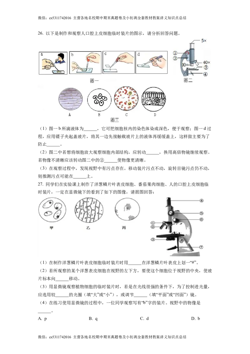 精品解析：北京市大兴区第二中学2022-2023学年七年级上学期期中生物试题（原卷版）(1)_北京初中期末题_C605-京七八九_B京生物七八九_北京7上生物_2022-2024_北京生物7上期中