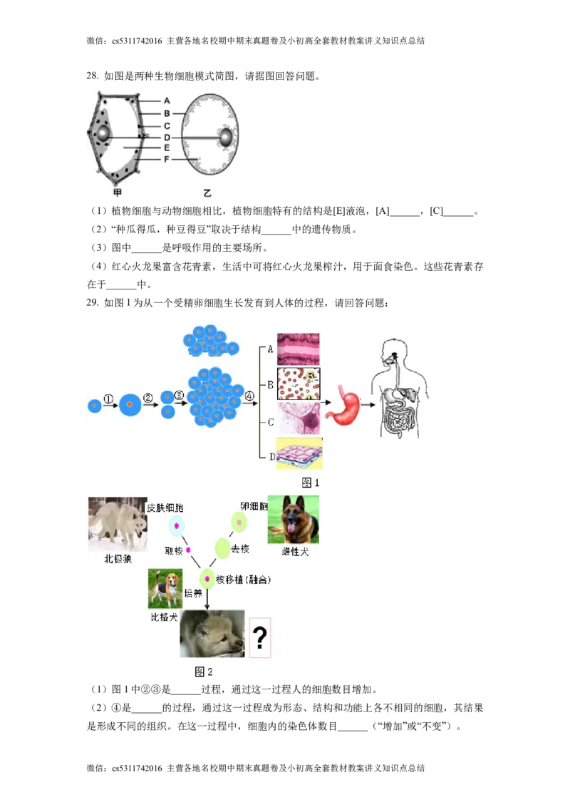 精品解析：北京市大兴区第二中学2022-2023学年七年级上学期期中生物试题（原卷版）(1)_北京初中期末题_C605-京七八九_B京生物七八九_北京7上生物_2022-2024_北京生物7上期中