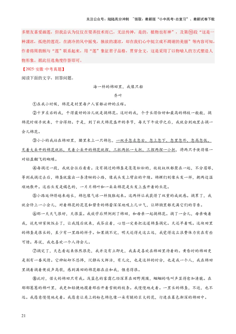 专题19散文阅读（一）（全国通用）（解析版）_02中考总复习（2026版更新中）_01-语文-中考总复习_2026年中考复习（更新中）