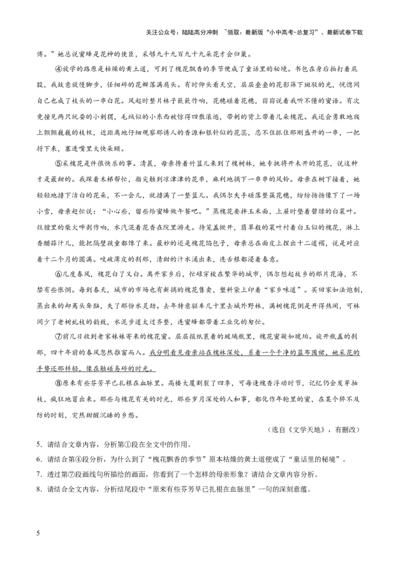 专题19散文阅读（一）（全国通用）（解析版）_02中考总复习（2026版更新中）_01-语文-中考总复习_2026年中考复习（更新中）