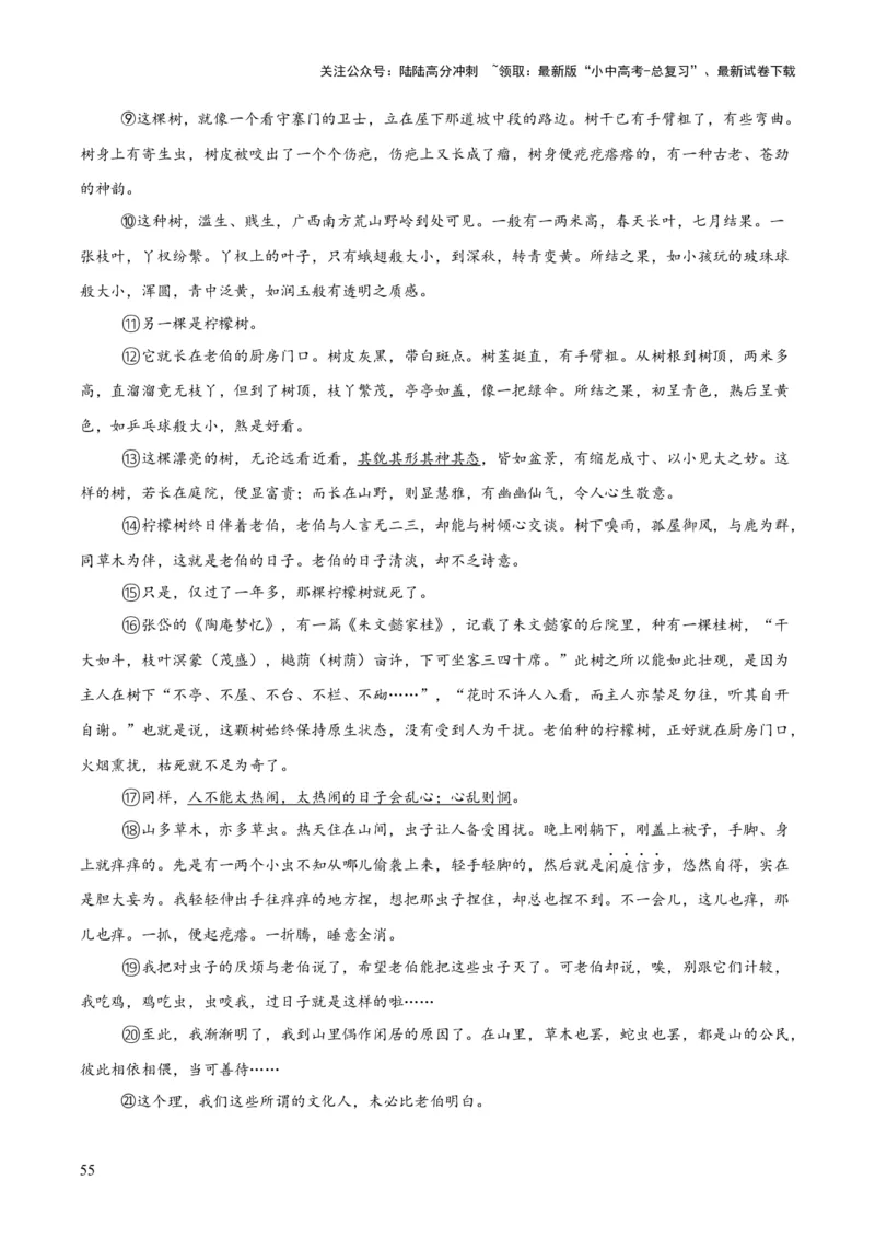专题19散文阅读（一）（全国通用）（解析版）_02中考总复习（2026版更新中）_01-语文-中考总复习_2026年中考复习（更新中）