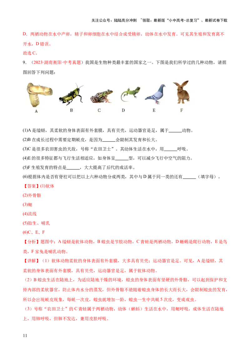 专题16动物的主要类群（解析版）_02中考总复习（2026版更新中）_08-生物-中考总复习_2024年中考复习资料_一轮复习_❤备战2024年中考生物一轮复习考点帮（全国通用）_练习