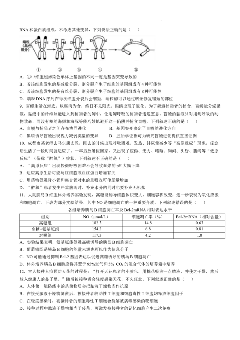 四川省成都市树德中学2024-2025学年高三上学期12月月考生物+答案_A1502026各地模拟卷（超值！）_12月_241218四川省成都市树德中学2024-2025学年高三上学期12月月考