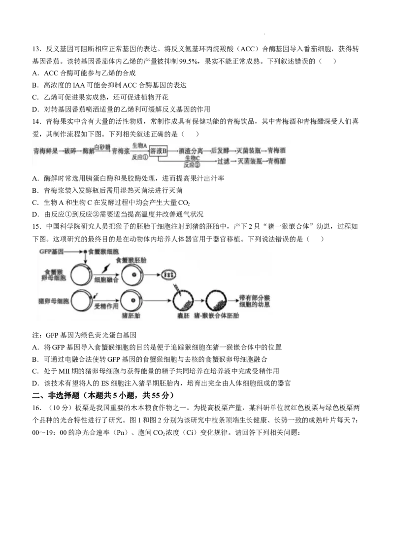 四川省成都市树德中学2024-2025学年高三上学期12月月考生物+答案_A1502026各地模拟卷（超值！）_12月_241218四川省成都市树德中学2024-2025学年高三上学期12月月考
