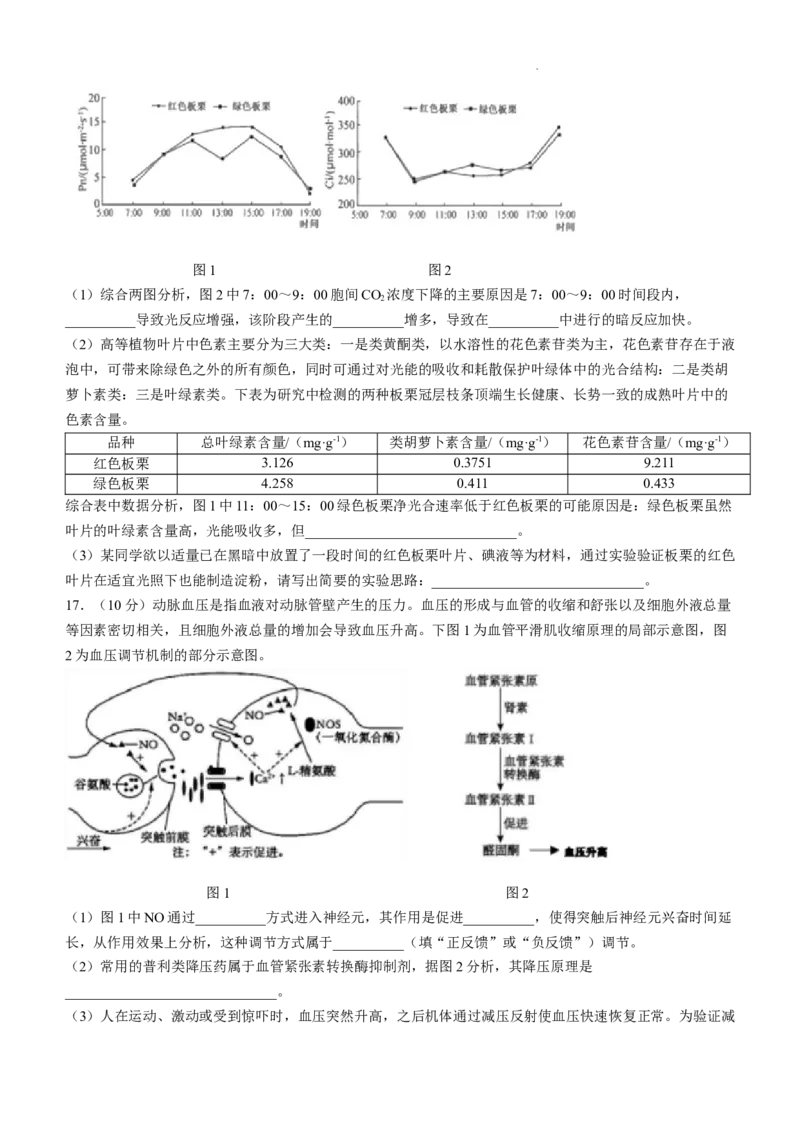 四川省成都市树德中学2024-2025学年高三上学期12月月考生物+答案_A1502026各地模拟卷（超值！）_12月_241218四川省成都市树德中学2024-2025学年高三上学期12月月考