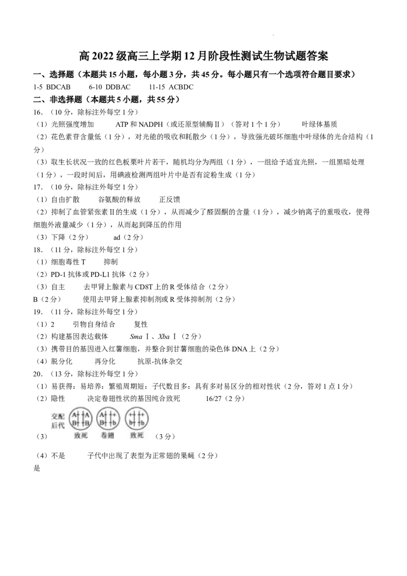 四川省成都市树德中学2024-2025学年高三上学期12月月考生物+答案_A1502026各地模拟卷（超值！）_12月_241218四川省成都市树德中学2024-2025学年高三上学期12月月考
