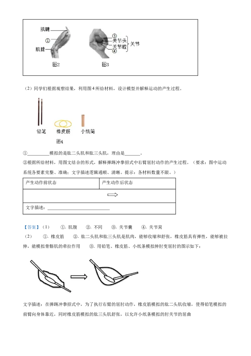 精品解析：北京市昌平区2023-2024学年八年级上学期期末生物试题（解析版）(1)_北京初中期末题_C605-京七八九_B京生物七八九_北京八上生物_2023-2024