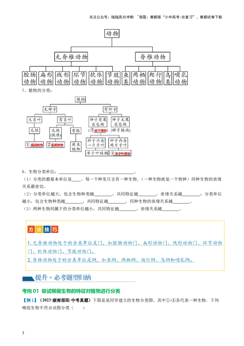 专题19生物多样性及其保护（讲义）（原卷版）_02中考总复习（2026版更新中）_08-生物-中考总复习_2024年中考复习资料_一轮复习_❤2024年中考生物一轮复习讲练测（全国通用）_讲义