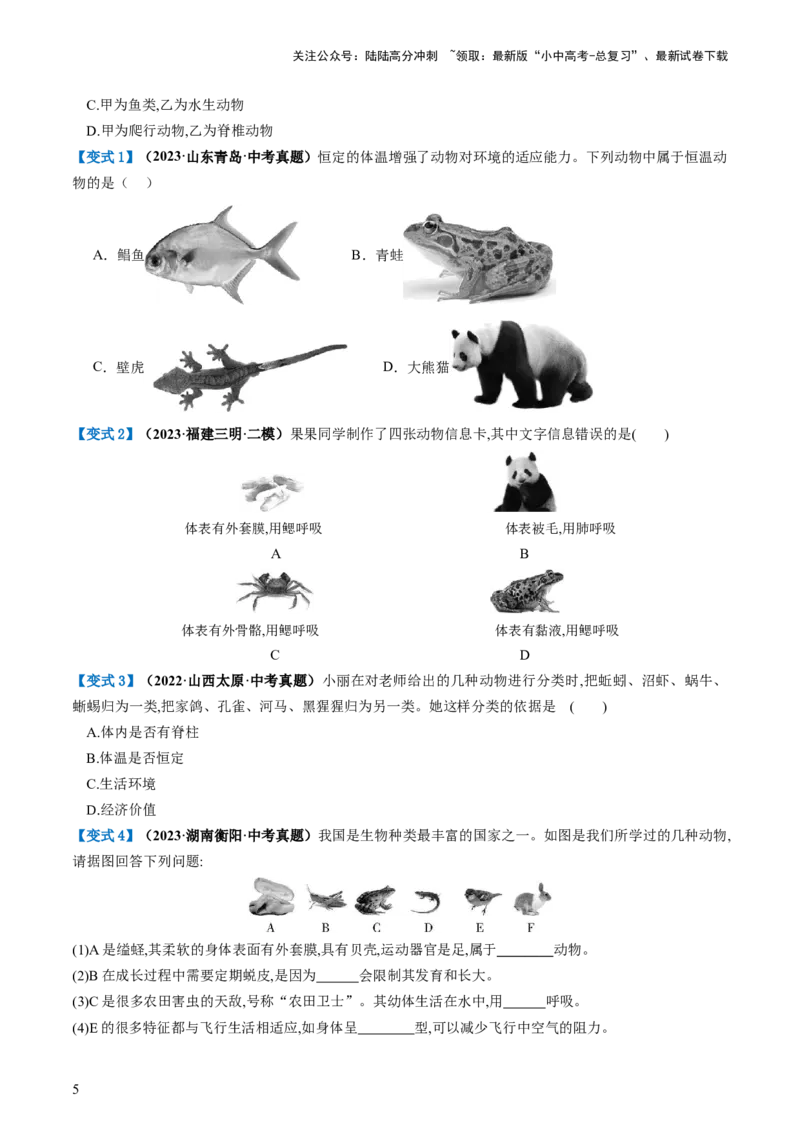专题19生物多样性及其保护（讲义）（原卷版）_02中考总复习（2026版更新中）_08-生物-中考总复习_2024年中考复习资料_一轮复习_❤2024年中考生物一轮复习讲练测（全国通用）_讲义