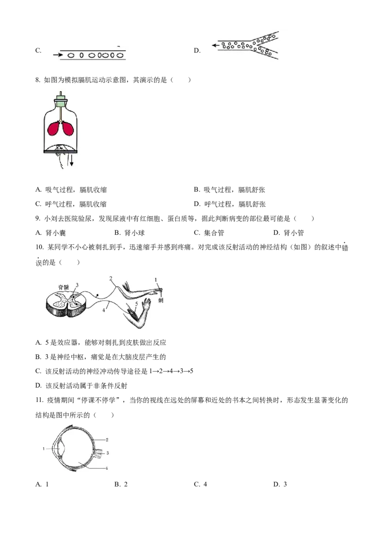 精品解析：2021年北京市房山区八年级中考一模生物试题（原卷版）(1)_北京初中期末题_C605-京七八九_B京生物七八九_北京八下生物_精品解析：2021年北京市房山区八年级中考一模生物试题