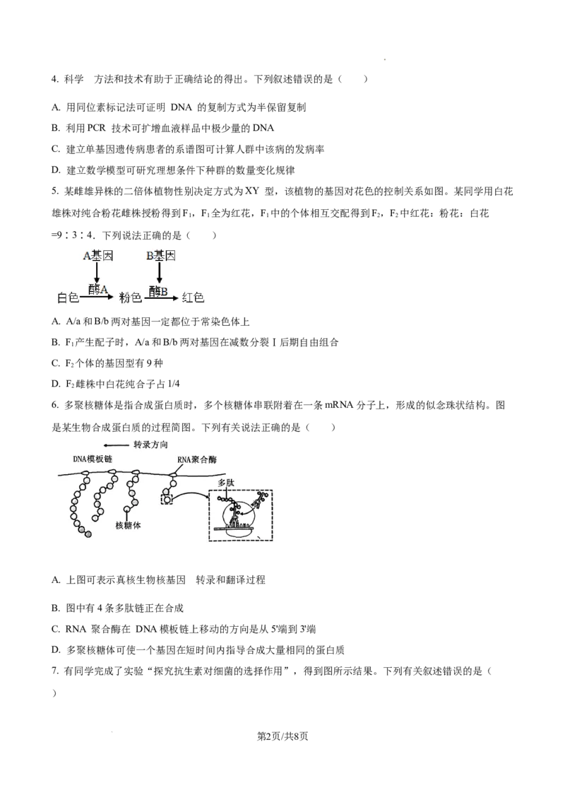 云南师范大学附属中学2025届高三高考适应性月考卷（四）生物_A1502026各地模拟卷（超值！）_10月_241024云南师范大学附属中学2025届高三高考适应性月考卷（四）