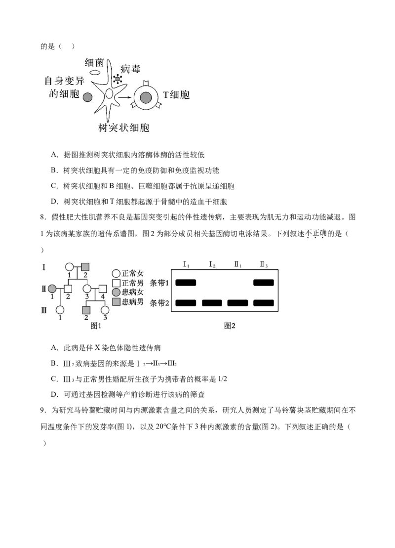 广东省广州外国语、广大附中、铁一中学等三校2024-2025学年高三上学期期中联考试题生物Word版含答案_A1502026各地模拟卷（超值！）_11月