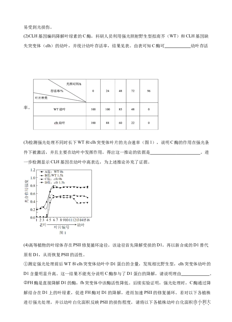 广东省广州外国语、广大附中、铁一中学等三校2024-2025学年高三上学期期中联考试题生物Word版含答案_A1502026各地模拟卷（超值！）_11月