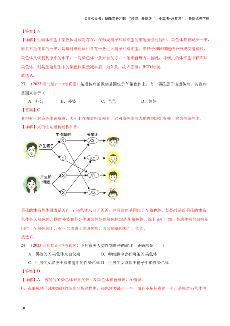 专题21生物的遗传和变异（解析版）_02中考总复习（2026版更新中）_08-生物-中考总复习_2024年中考复习资料_一轮复习_❤备战2024年中考生物一轮复习考点帮（全国通用）_练习