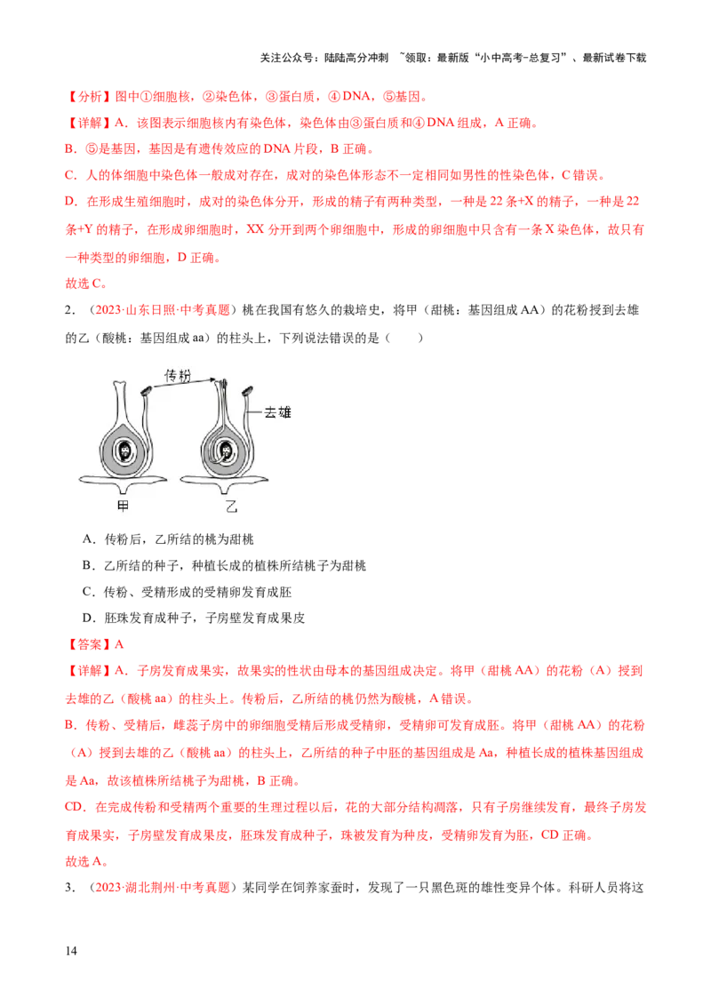 专题21生物的遗传和变异（解析版）_02中考总复习（2026版更新中）_08-生物-中考总复习_2024年中考复习资料_一轮复习_❤备战2024年中考生物一轮复习考点帮（全国通用）_练习