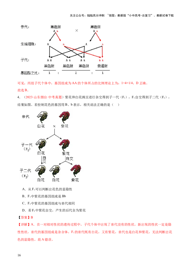 专题21生物的遗传和变异（解析版）_02中考总复习（2026版更新中）_08-生物-中考总复习_2024年中考复习资料_一轮复习_❤备战2024年中考生物一轮复习考点帮（全国通用）_练习