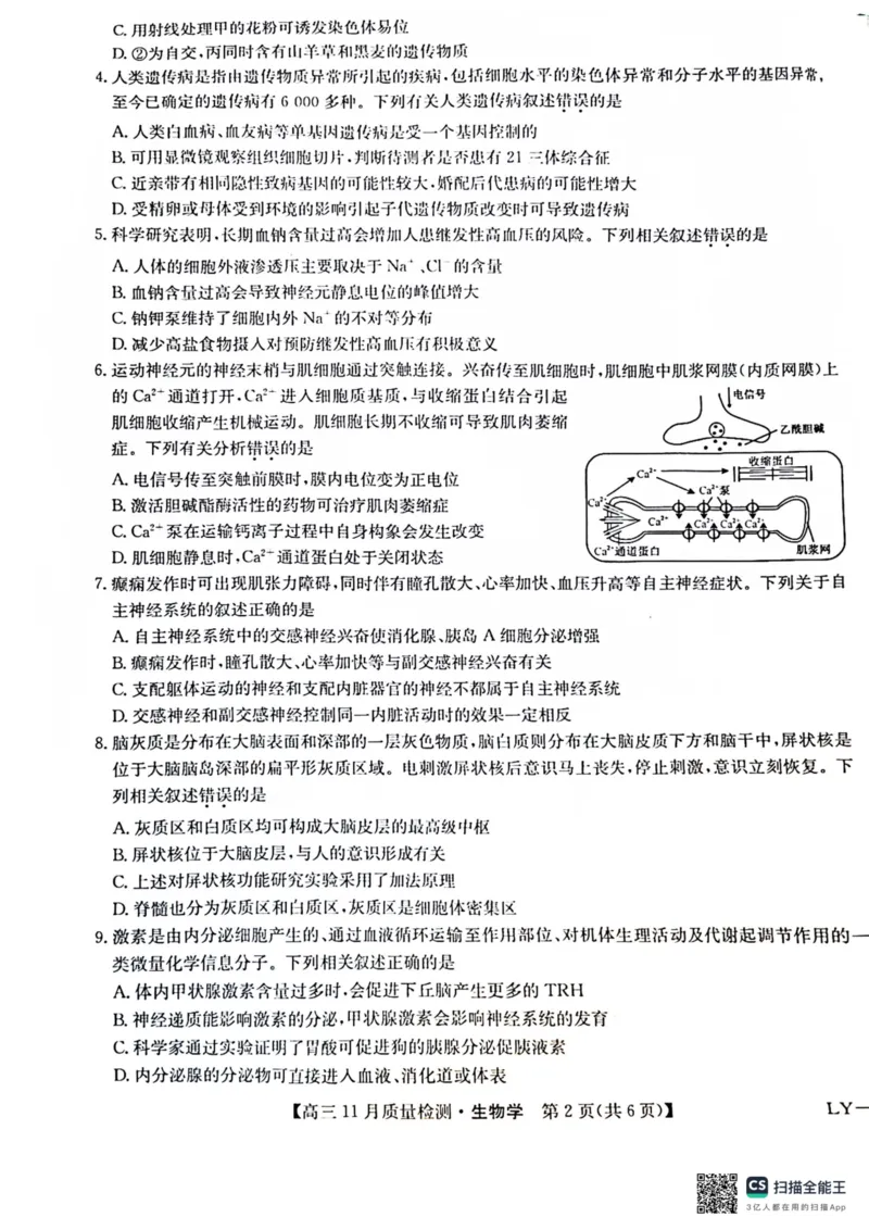 2025届高三上学期12月联考生物试题_A1502026各地模拟卷（超值！）_12月_241207九师联盟2025届高三12月联考（11月质量检测巩固卷）