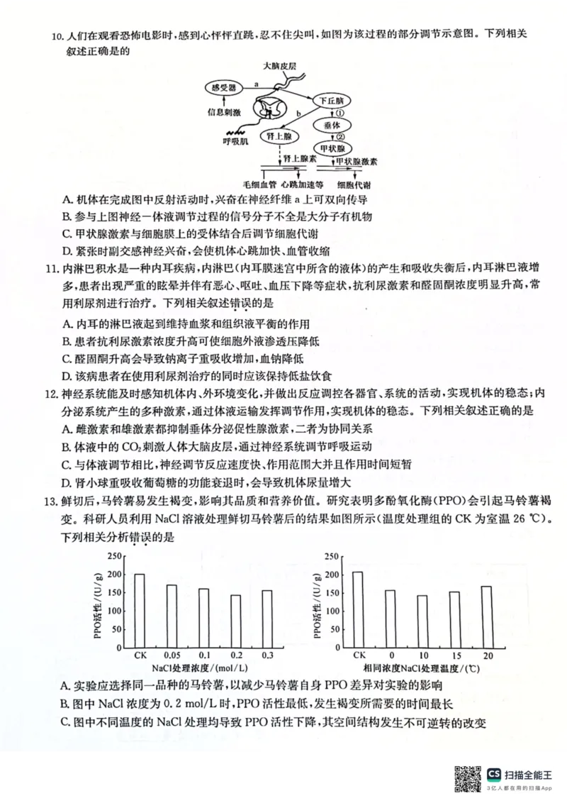2025届高三上学期12月联考生物试题_A1502026各地模拟卷（超值！）_12月_241207九师联盟2025届高三12月联考（11月质量检测巩固卷）