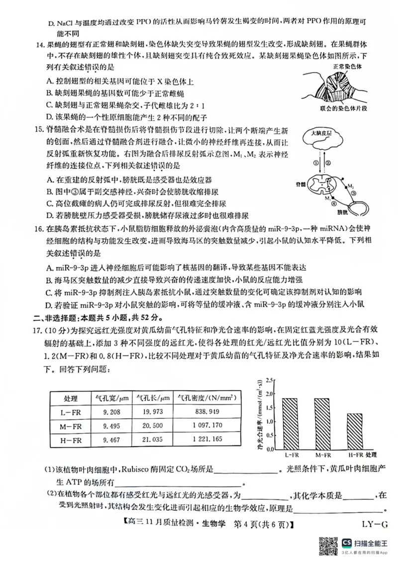 2025届高三上学期12月联考生物试题_A1502026各地模拟卷（超值！）_12月_241207九师联盟2025届高三12月联考（11月质量检测巩固卷）