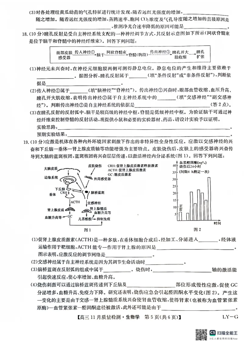 2025届高三上学期12月联考生物试题_A1502026各地模拟卷（超值！）_12月_241207九师联盟2025届高三12月联考（11月质量检测巩固卷）